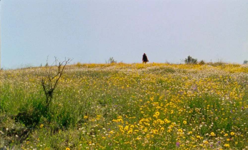 MOCA – Mostra de Cinema Arqueológico